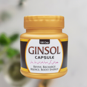GINSOL